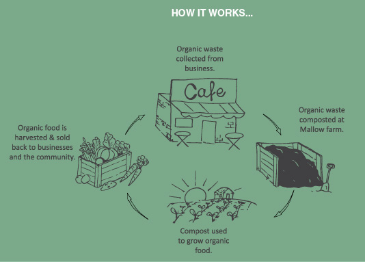 Mallow-Sustainability-Websi